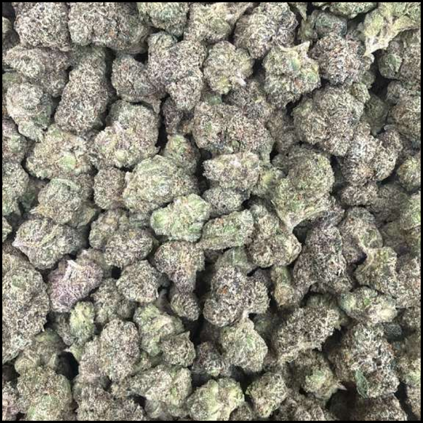 Blueberry Gumbo Hybrid Flower 3.5 Grams product photo