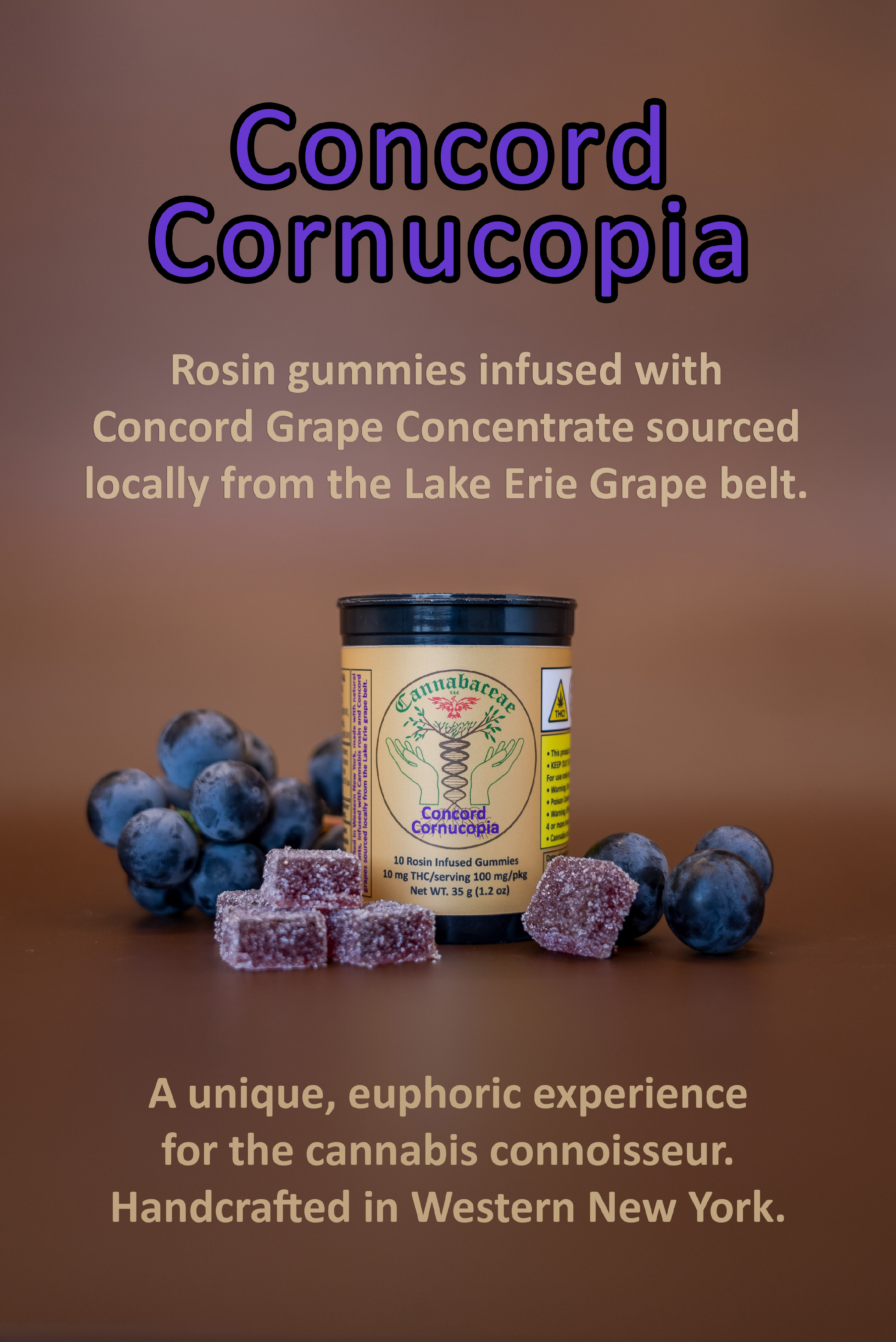 Concord Cornucopia | Grape Flavored Rosin Gummies | 10 Pack | 100mg THC product photo