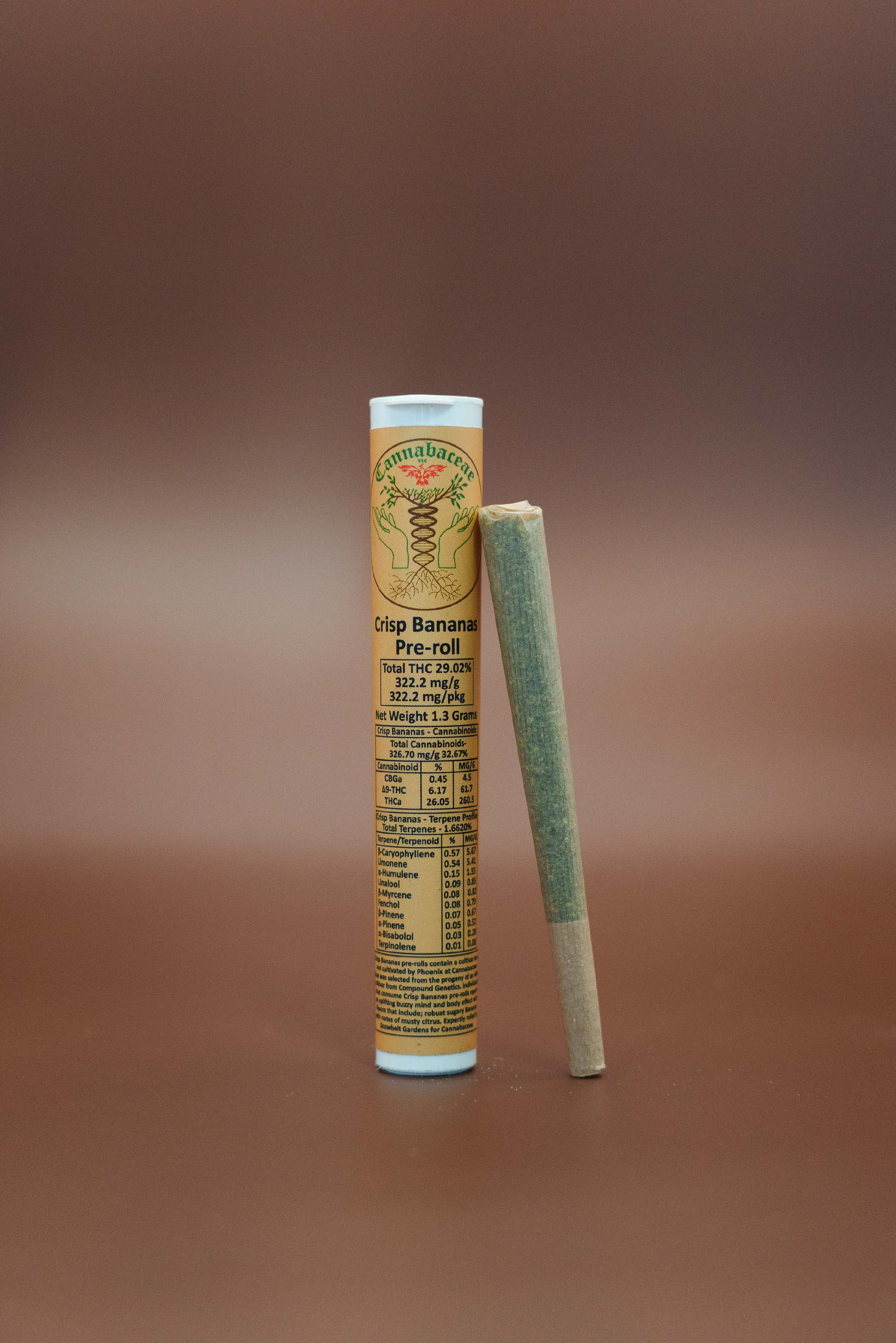 Crisp Bananas | Pre Roll | 1 Gram product photo