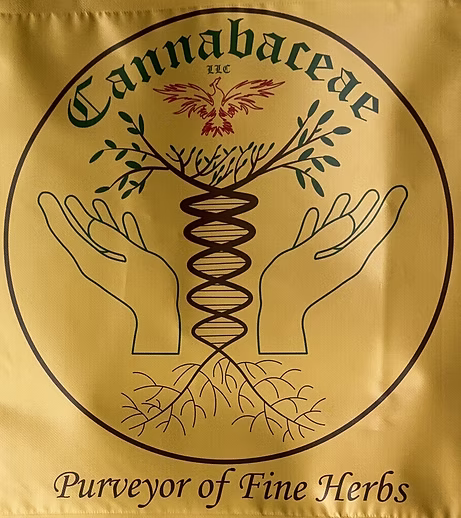 Cherry Bliss | Pre Roll | 1 Gram product photo