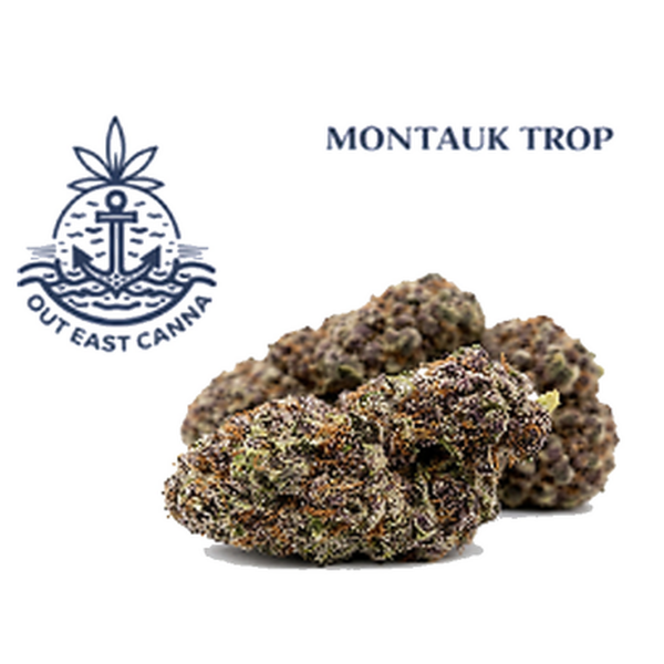 Montauk Trop Hybrid Flower 14.0 Grams product photo
